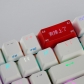 OEM Profile ABS Backlit Keycaps Laser Carving for Cherry MX Switch 2.25U Enter / 2U Backspace